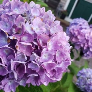 Meet your Posher, Melanie